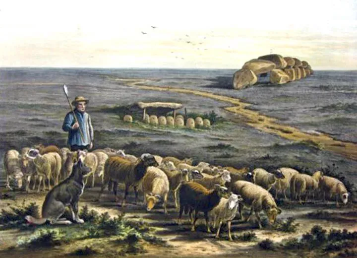 De bij hoort er bij. Drentse bijengeschiedenis